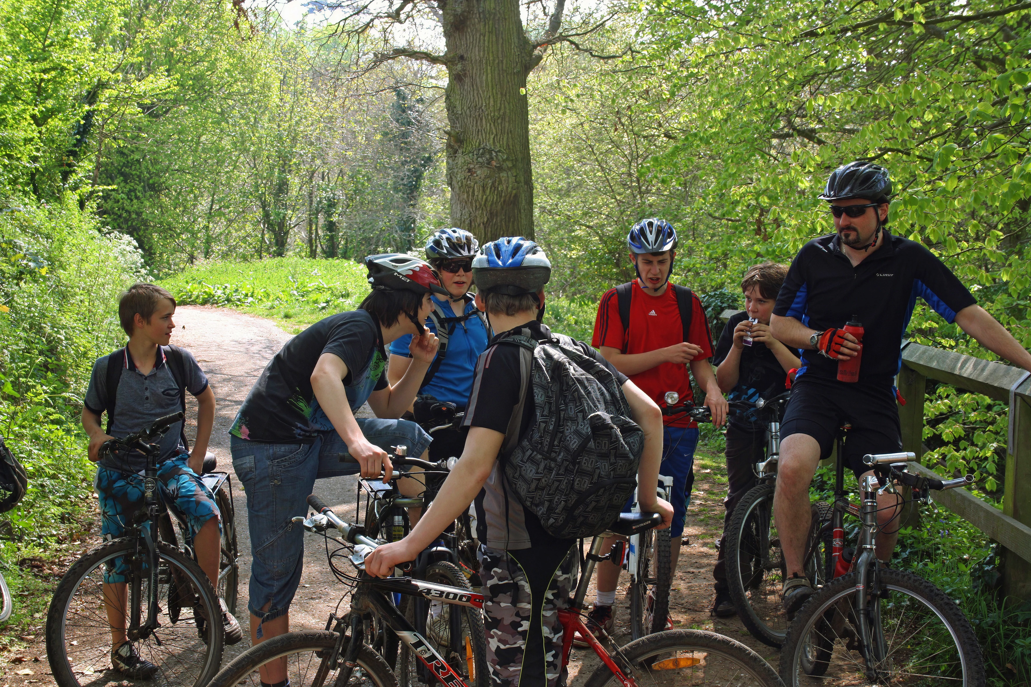 Leafy cycle route to Otterton by the river.