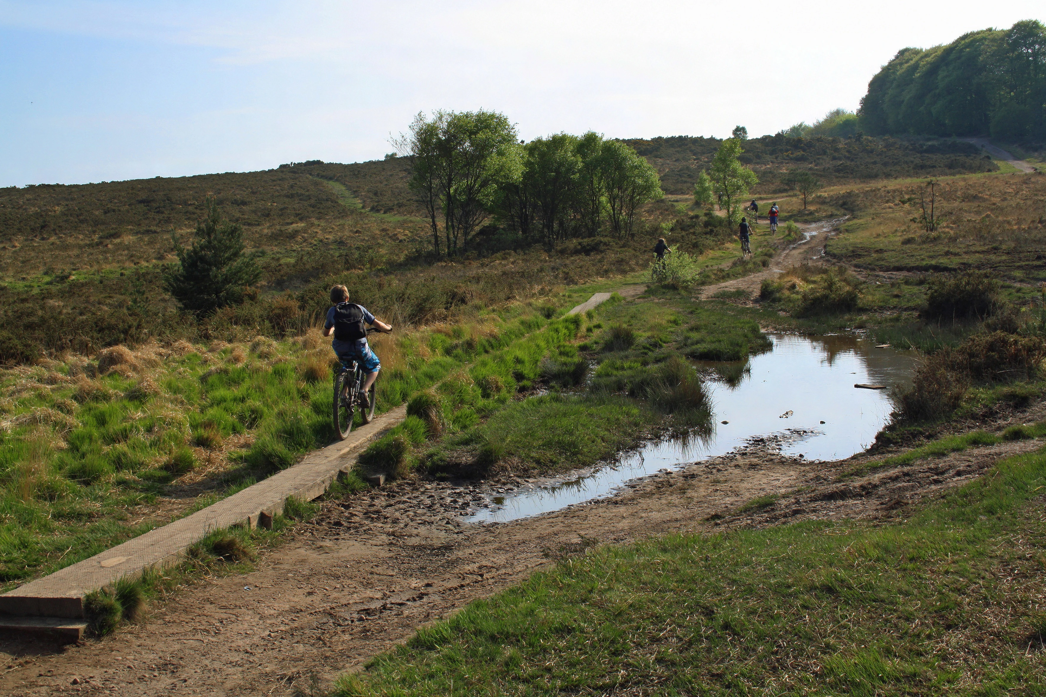 Climbing back to Woodbury Common after Budleigh and Otterton.