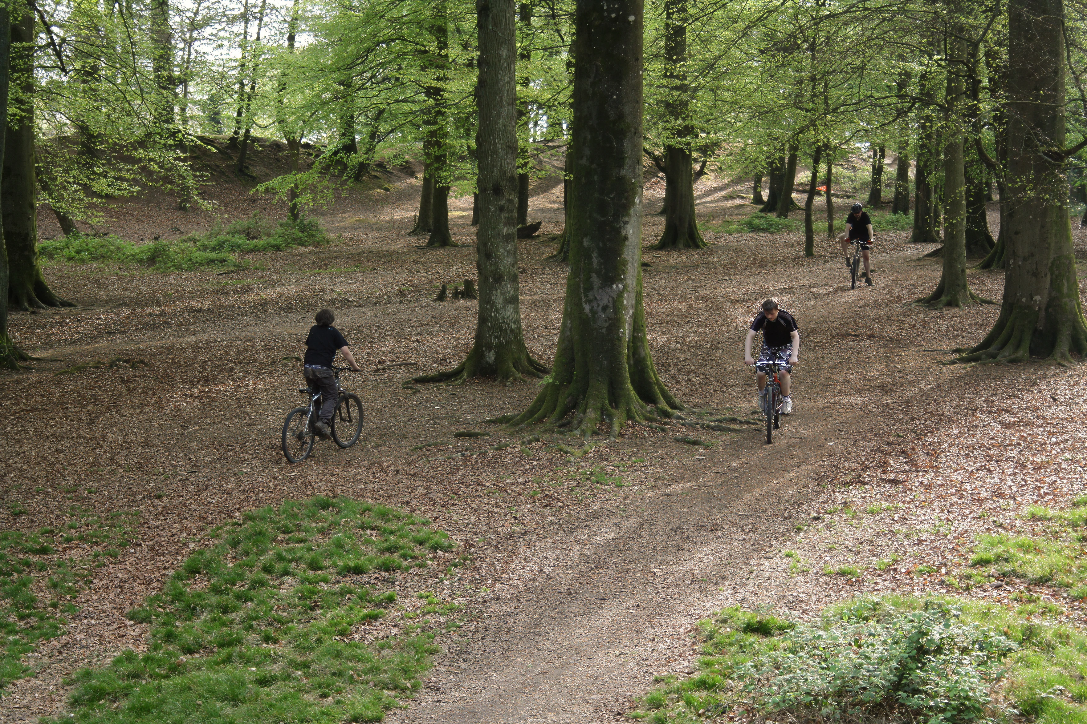 Woodbury Castle's earthworks, ripe for riding.