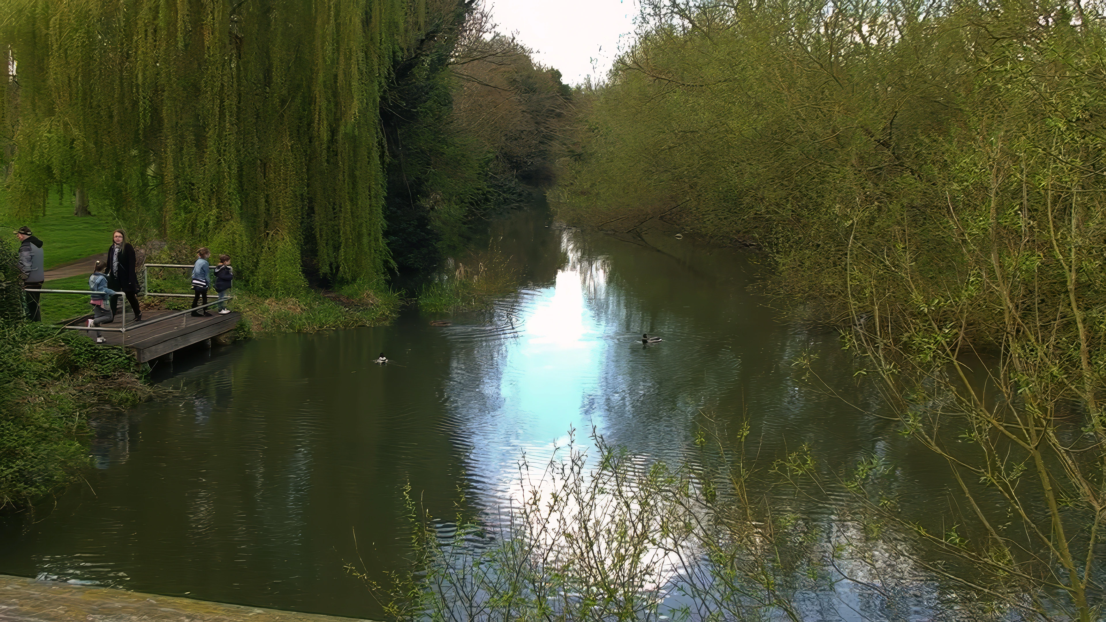 The Thames near Abingdon Weir.
