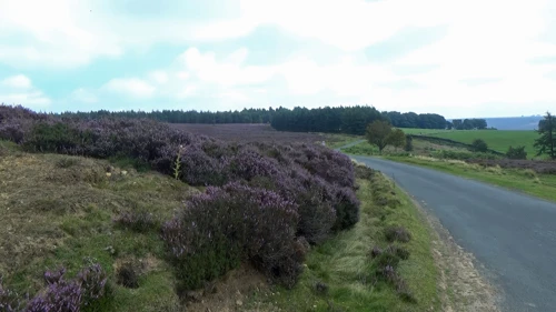 16 Aug 2016 · Yorkshire Dales & North York Moors: Day 6: Osmotherley to Helmsley YH