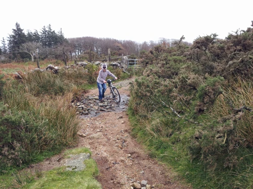 17 Nov 2013 · Chalk Ford